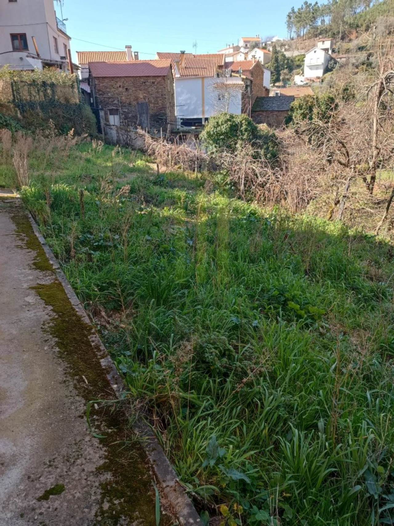 Quinta T3 para Venda em São Gião Foto 17