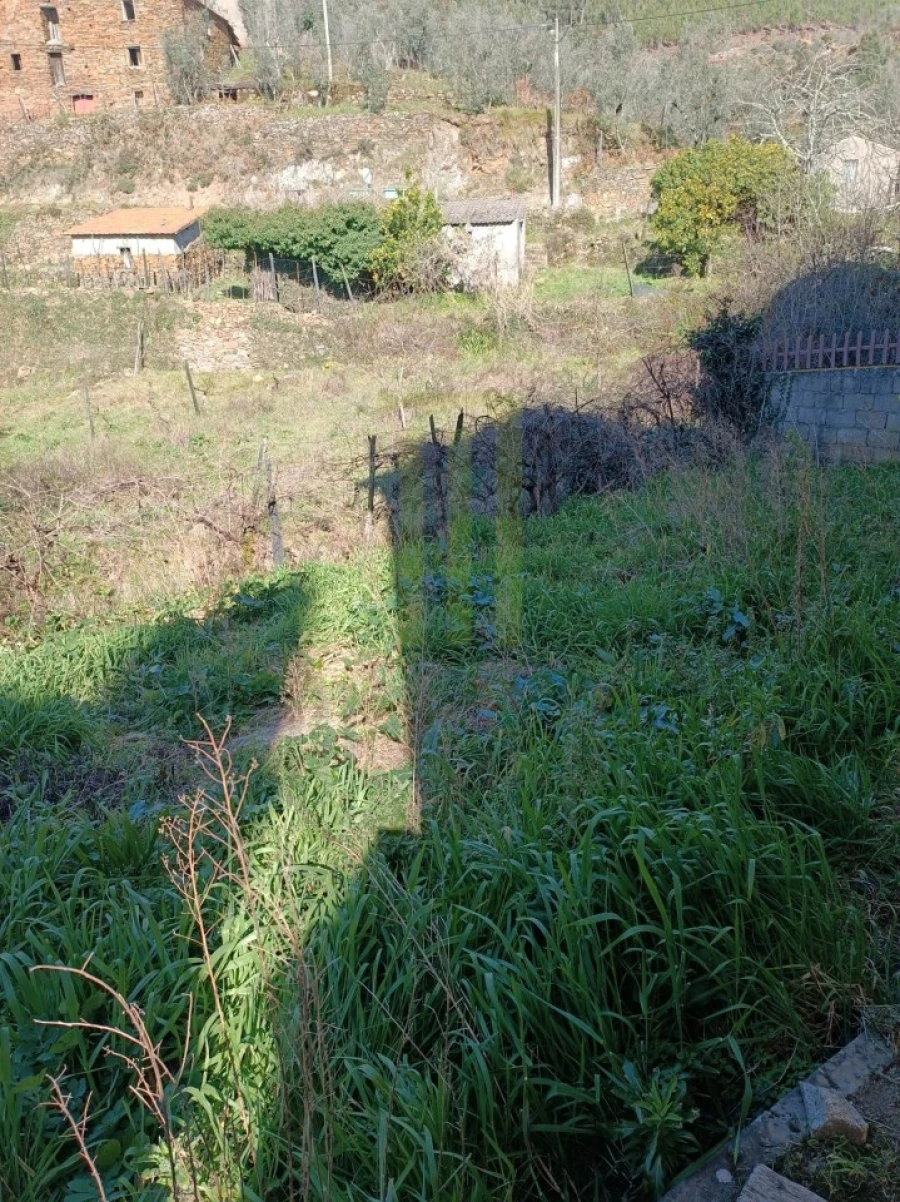 Quinta T3 para Venda em São Gião Foto 16