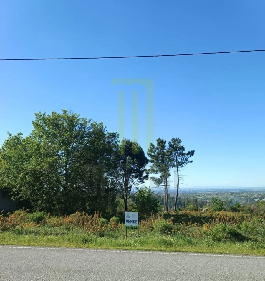 Terreno para Venda em Oliveira do Hospital e São Paio de Gramaços Foto 2
