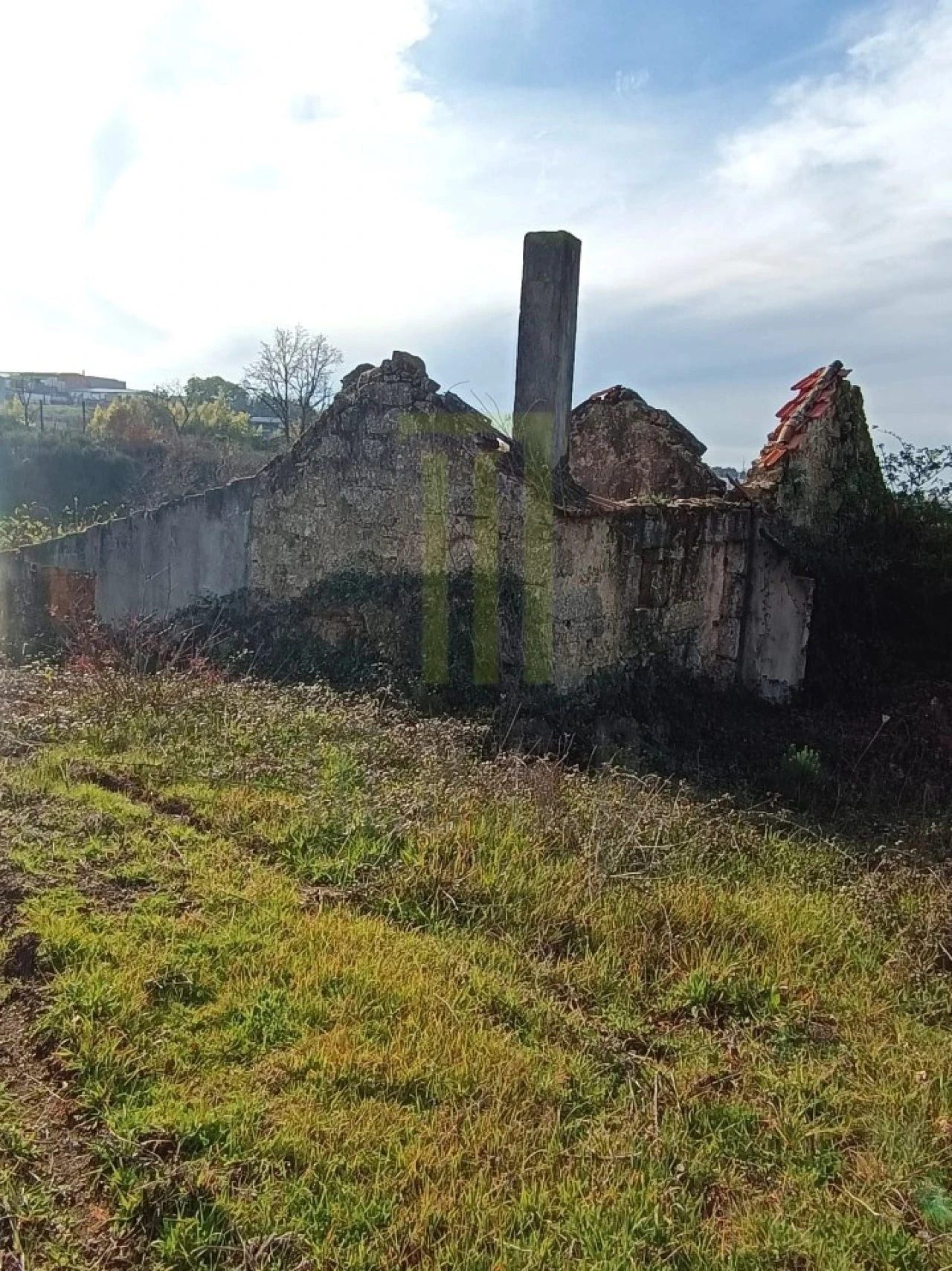 Quinta para Venda em Oliveira do Hospital e São Paio de Gramaços Foto 1