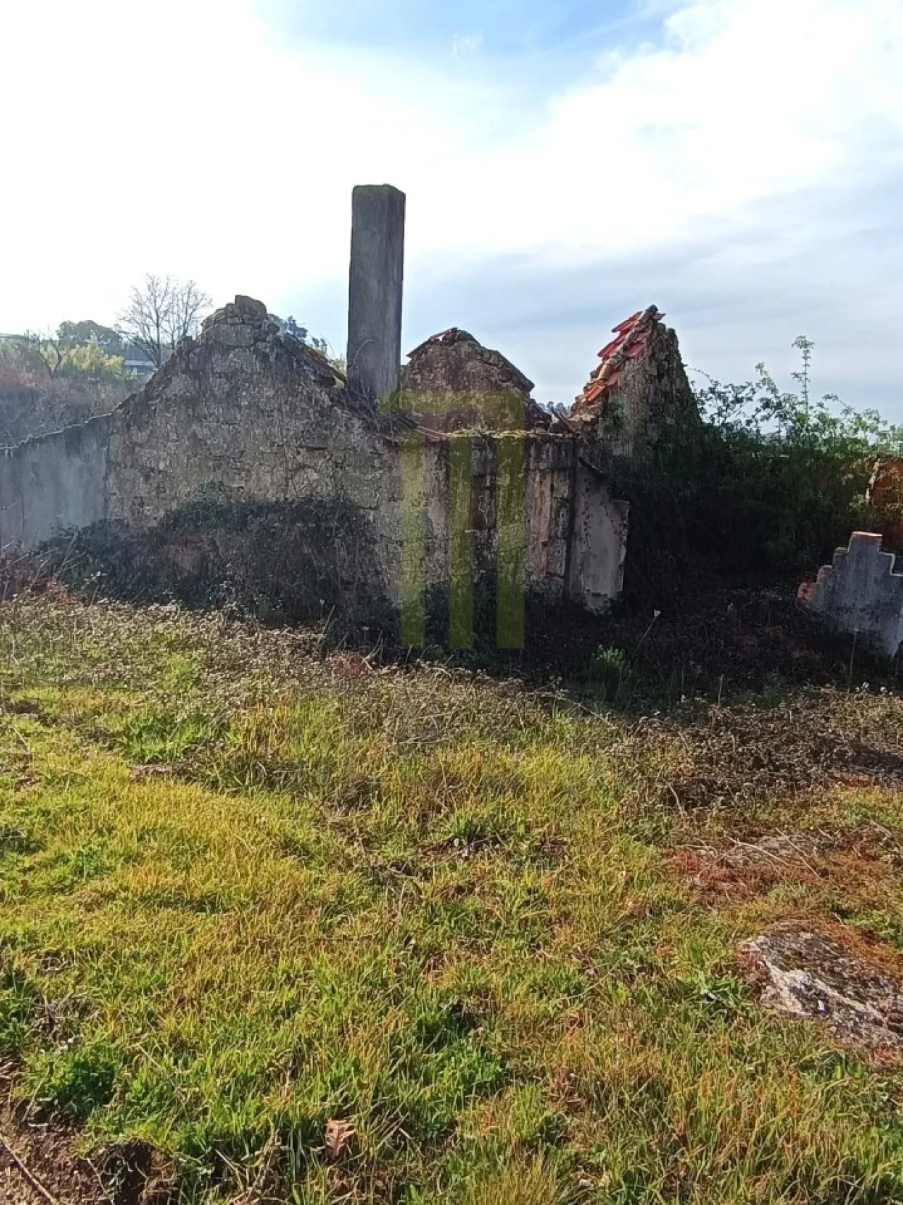 Quinta para Venda em Oliveira do Hospital e São Paio de Gramaços Foto 3
