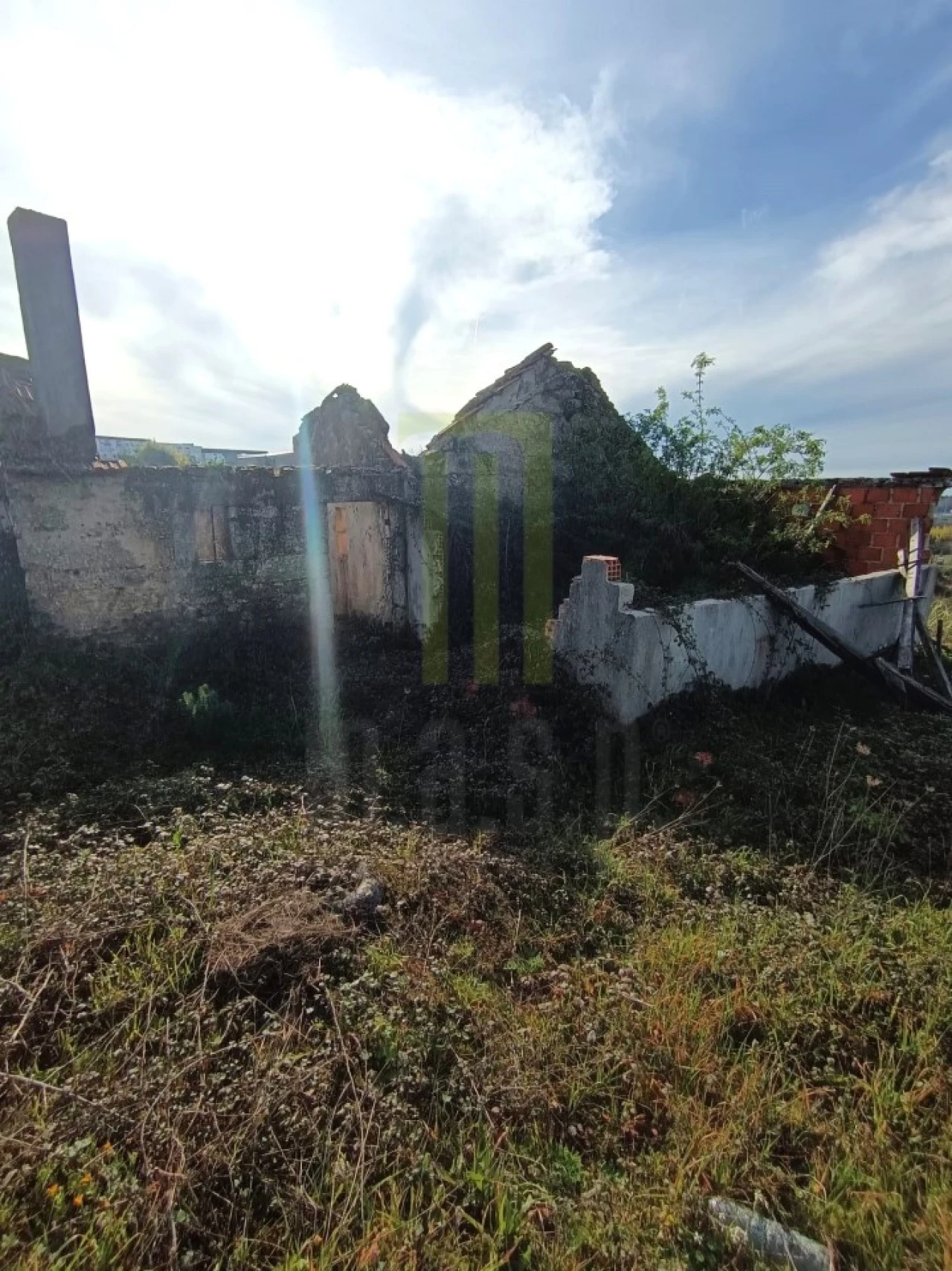 Quinta para Venda em Oliveira do Hospital e São Paio de Gramaços Foto 4