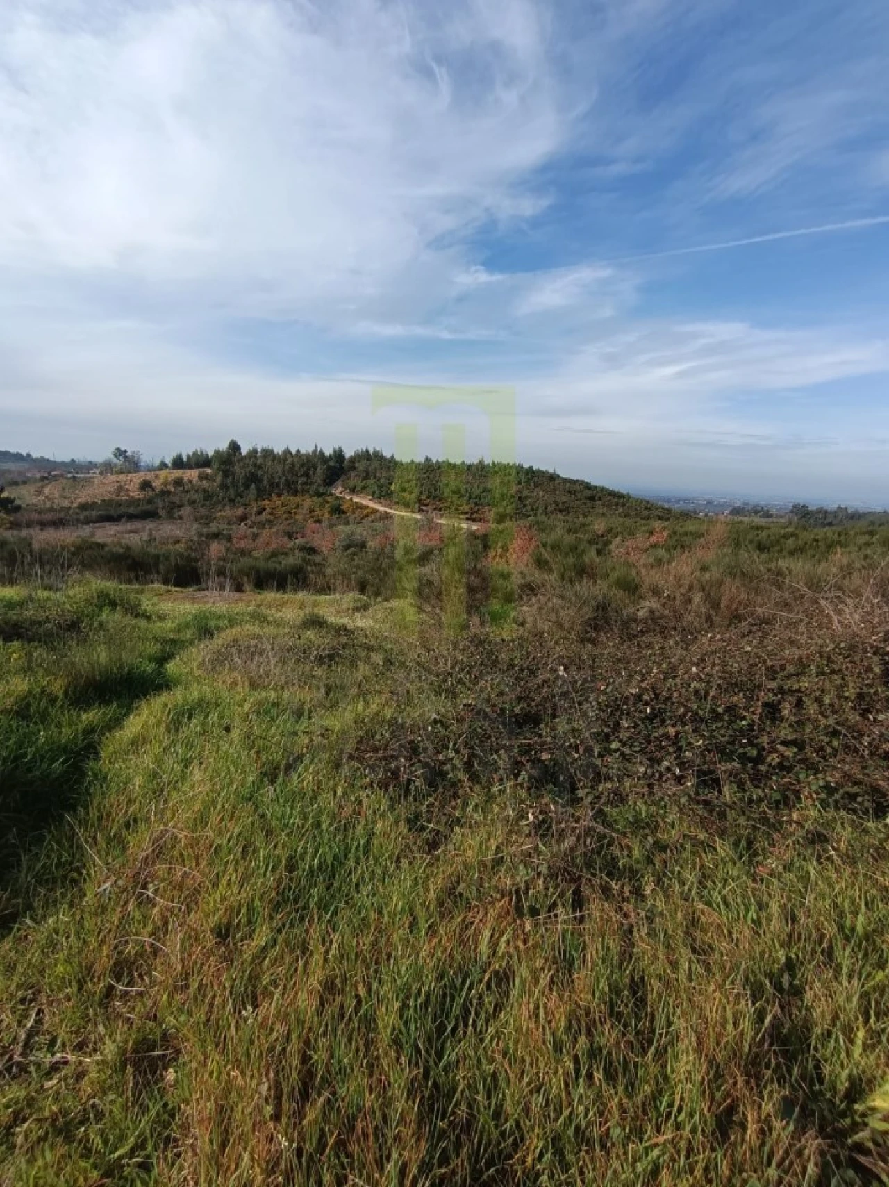 Quinta para Venda em Oliveira do Hospital e São Paio de Gramaços Foto 5