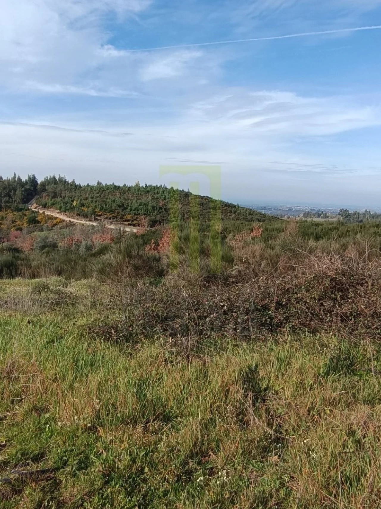 Quinta para Venda em Oliveira do Hospital e São Paio de Gramaços Foto 6