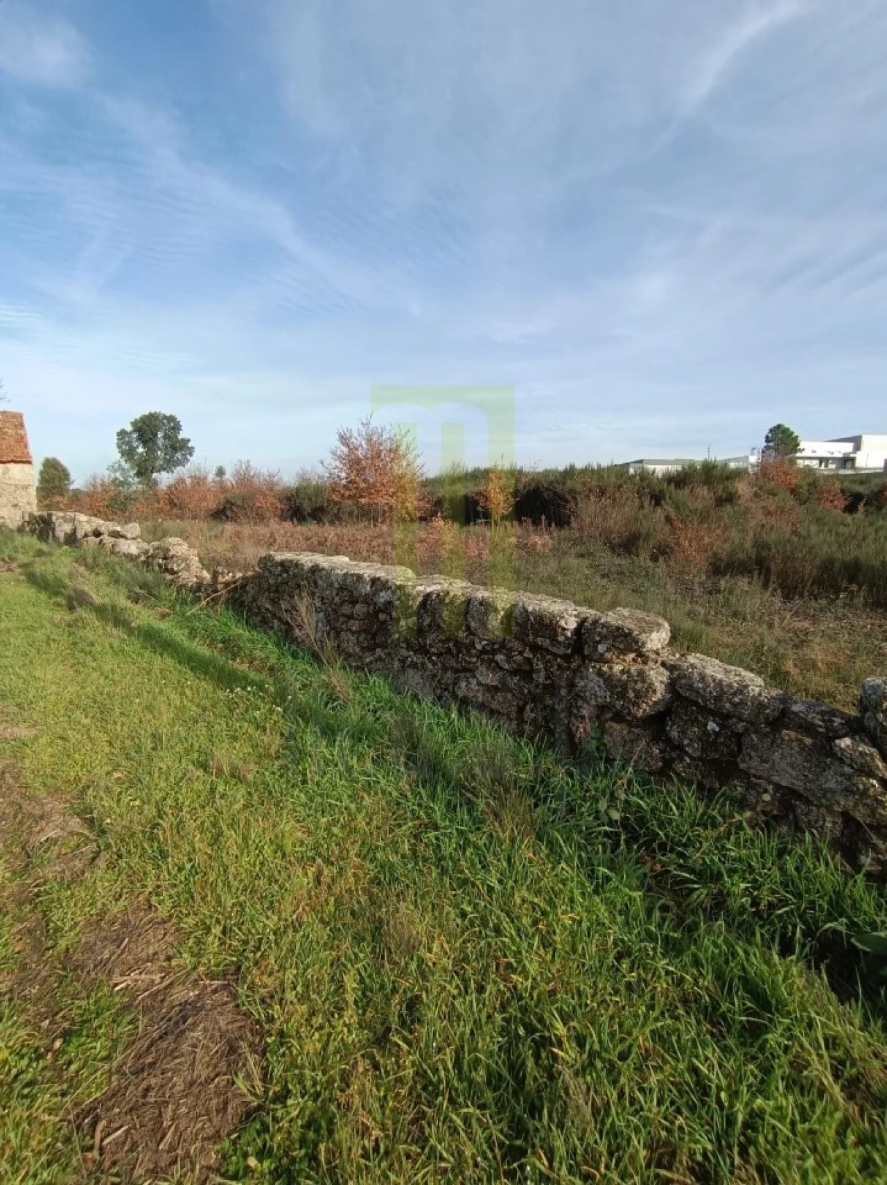 Quinta para Venda em Oliveira do Hospital e São Paio de Gramaços Foto 7
