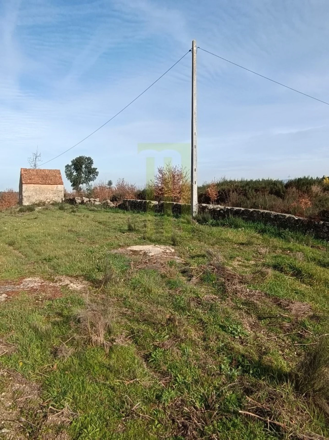 Quinta para Venda em Oliveira do Hospital e São Paio de Gramaços Foto 8