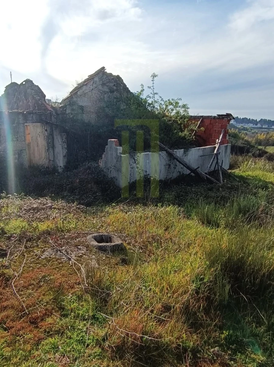 Quinta para Venda em Oliveira do Hospital e São Paio de Gramaços Foto 2