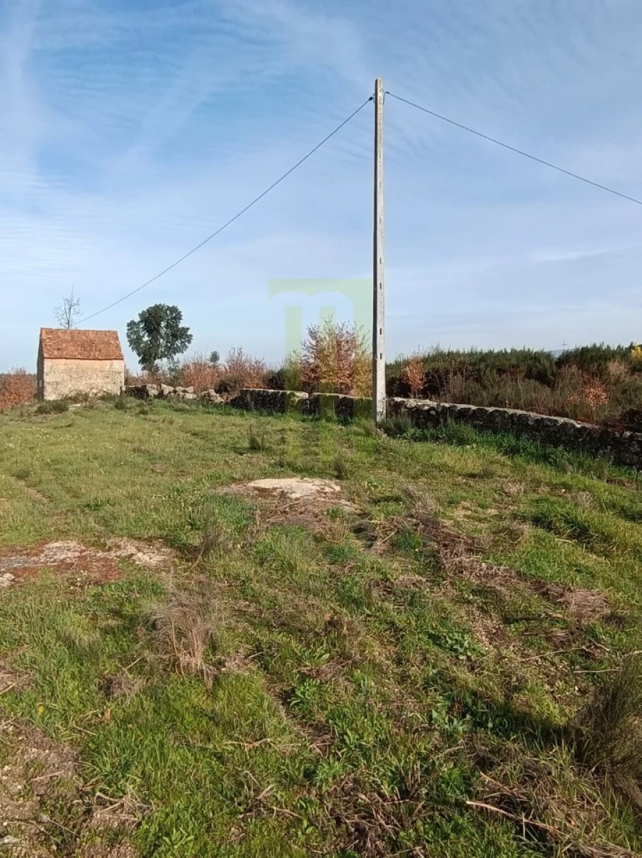 Quinta para Venda em Oliveira do Hospital e São Paio de Gramaços Foto 8
