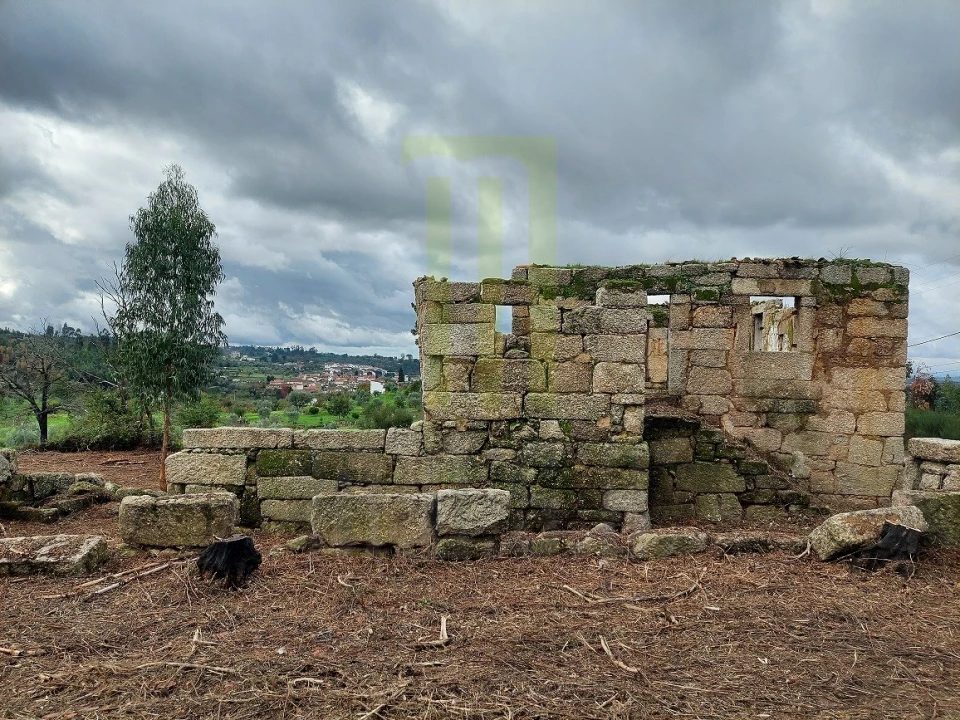 Quinta para Venda em Lagos da Beira e Lajeosa Foto 4