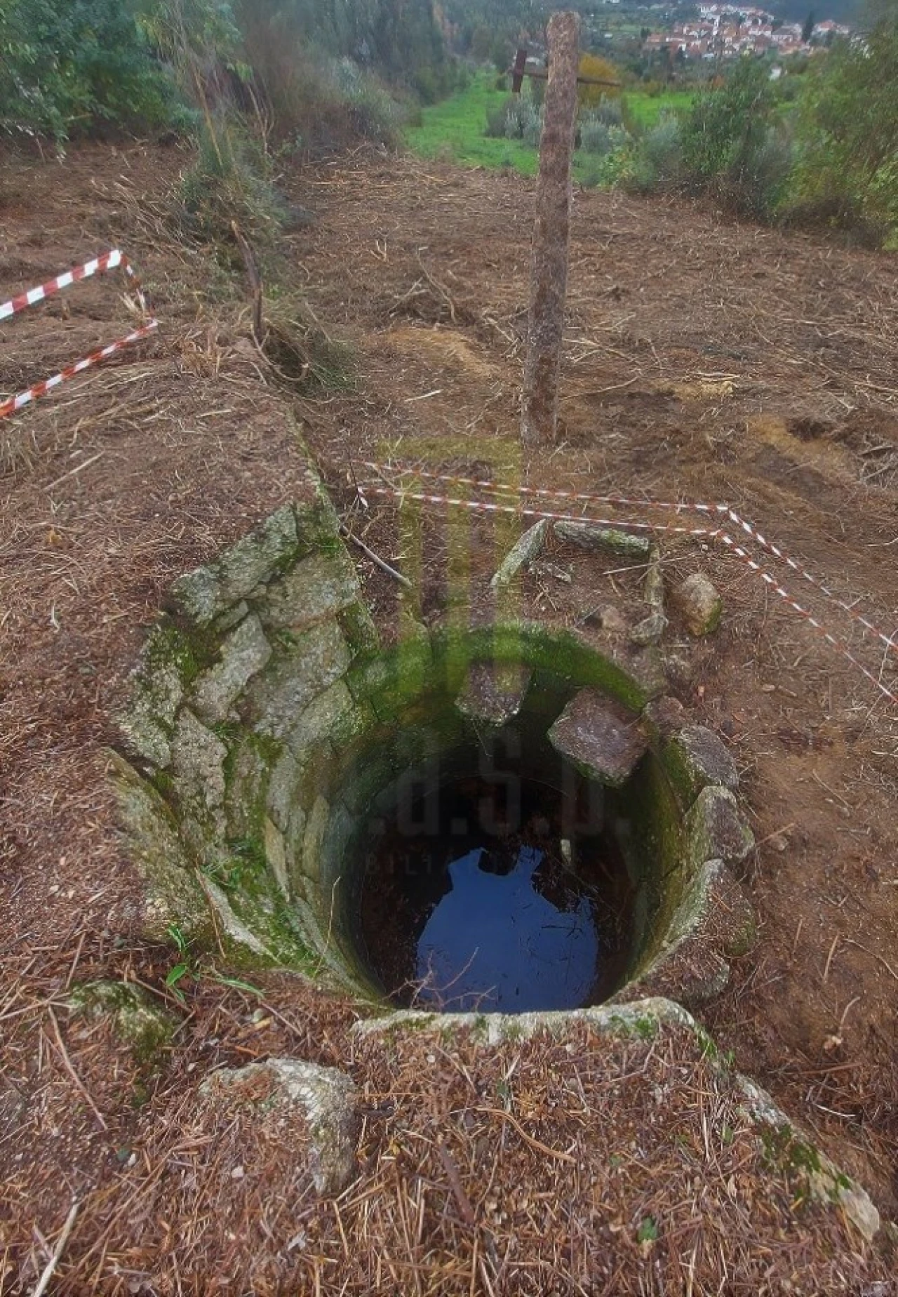 Quinta para Venda em Lagos da Beira e Lajeosa Foto 5