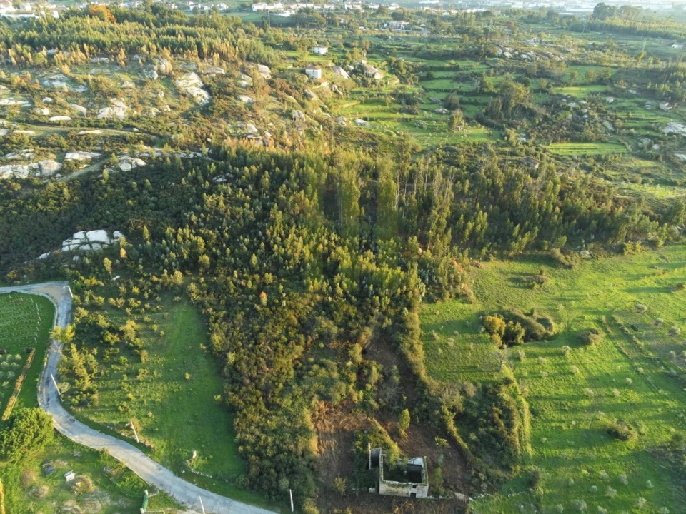 Quinta para Venda em Lagos da Beira e Lajeosa Foto 9