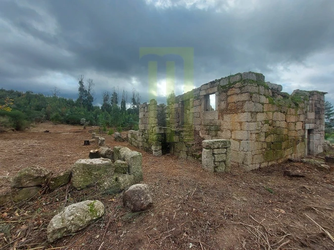 Quinta para Venda em Lagos da Beira e Lajeosa Foto 3