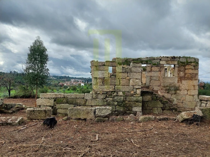 Quinta para Venda em Lagos da Beira e Lajeosa Foto 4
