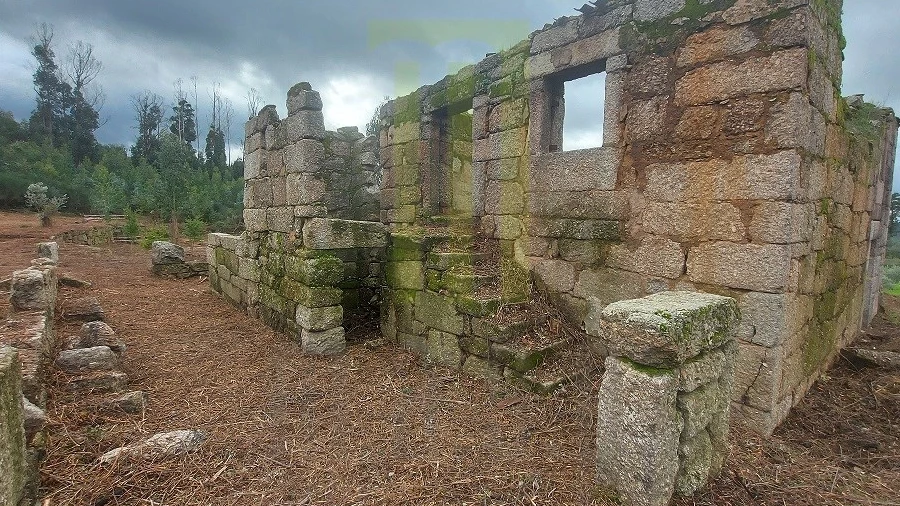 Quinta para Venda em Lagos da Beira e Lajeosa