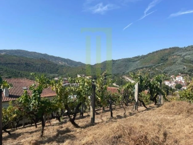 Moradia T8 para Venda em Penalva de Alva e São Sebastião da Feira Foto 14