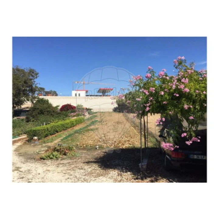 Terreno para Venda em Ericeira Foto 3