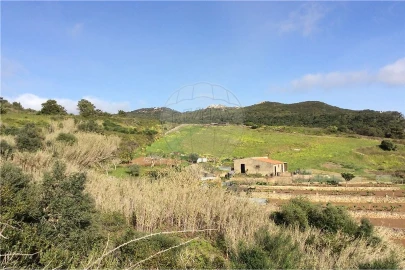 Terreno para Venda em Alcabideche