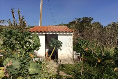 Terreno para Venda em Alcabideche
