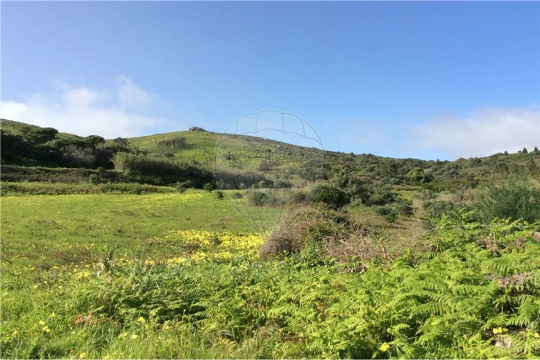 Terreno para Venda em Alcabideche Foto 3