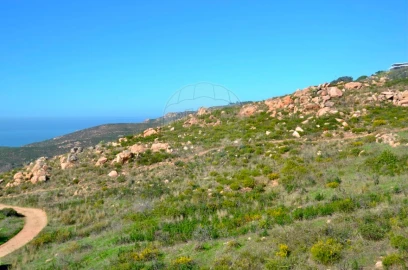 Terreno para Venda em Alcabideche