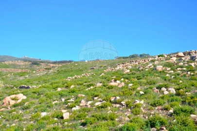 Terreno para Venda em Alcabideche