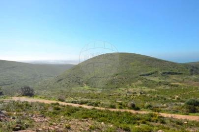 Terreno para Venda em Alcabideche