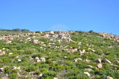 Terreno para Venda em Alcabideche