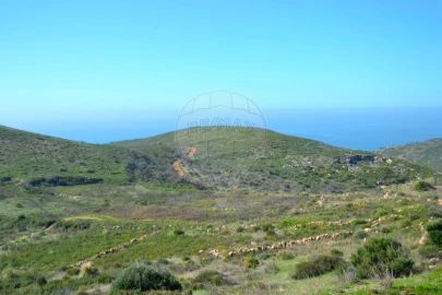 Terreno para Venda em Alcabideche