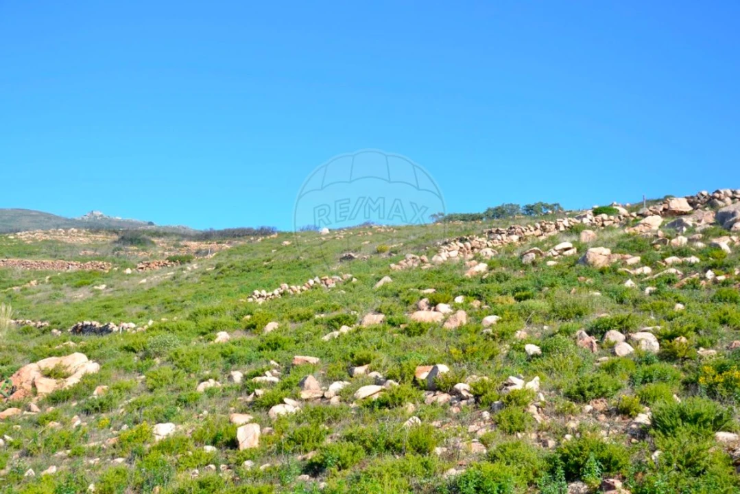 Terreno para Venda em Alcabideche Foto 4