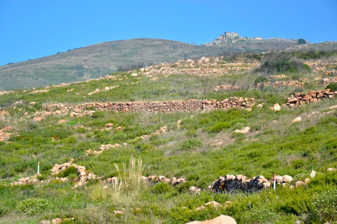 Terreno para Venda em Alcabideche Foto 6