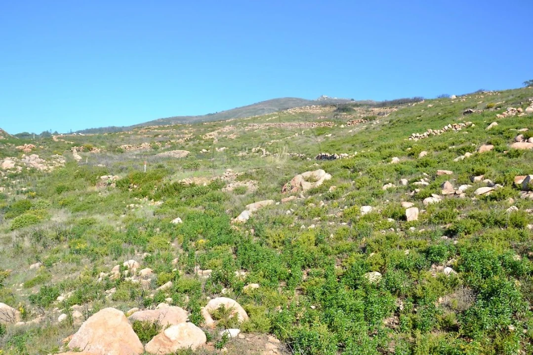 Terreno para Venda em Alcabideche Foto 5