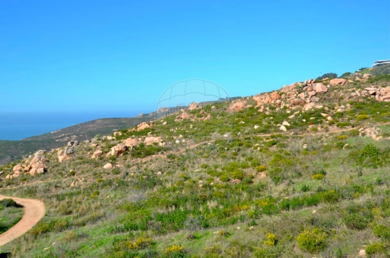 Terreno para Venda em Alcabideche Foto 7