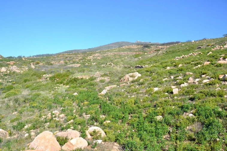 Terreno para Venda em Alcabideche Foto 5