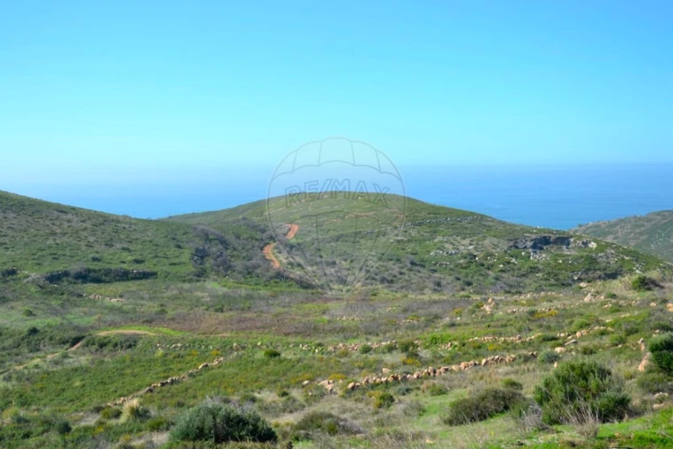 Terreno para Venda em Alcabideche Foto 14