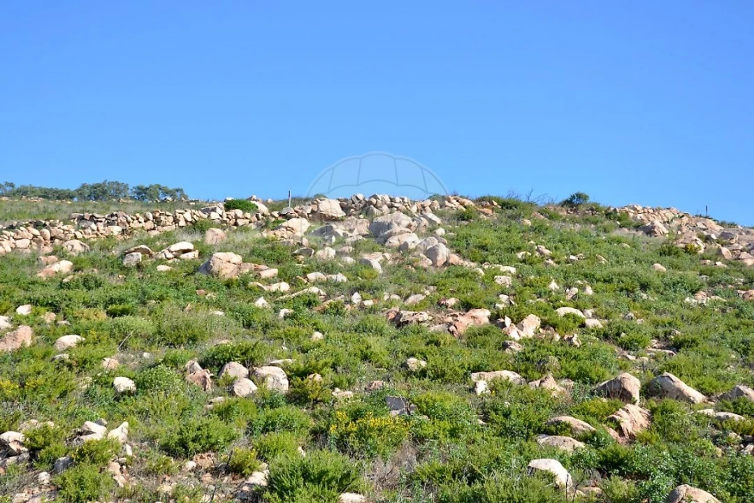 Terreno para Venda em Alcabideche Foto 3