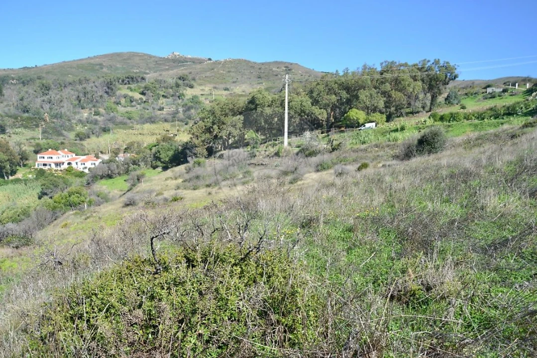 Terreno para Venda em Alcabideche Foto 6