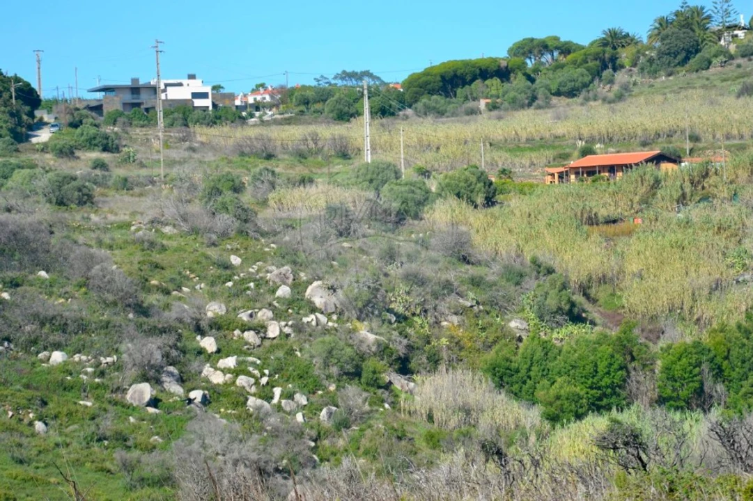 Terreno para Venda em Alcabideche Foto 4