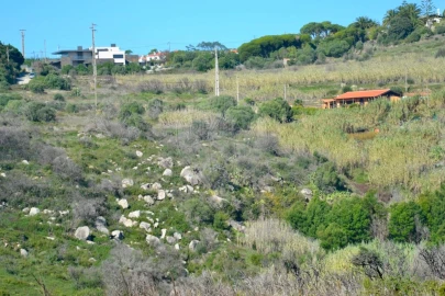 Terreno para Venda em Alcabideche