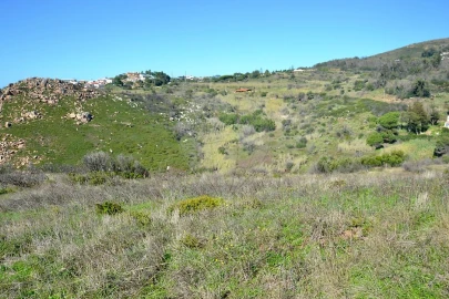 Terreno para Venda em Alcabideche