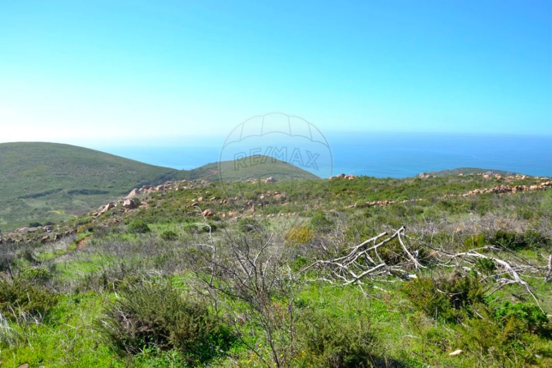 Terreno para Venda em Alcabideche Foto 10