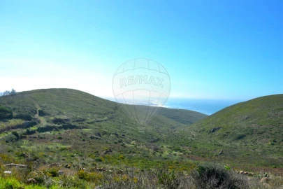 Terreno para Venda em Alcabideche