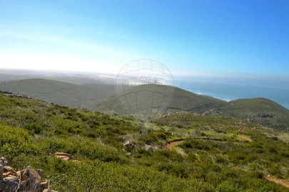 Terreno para Venda em Alcabideche