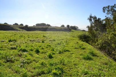 Terreno para Venda em Alcabideche