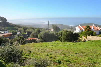 Terreno para Venda em Alcabideche