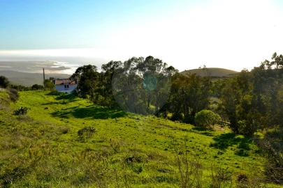 Terreno para Venda em Alcabideche