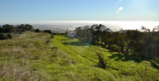 Terreno para Venda em Alcabideche