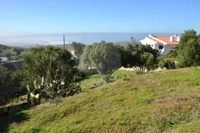 Terreno para Venda em Alcabideche