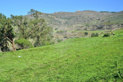 Terreno para Venda em Alcabideche