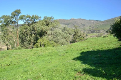 Terreno para Venda em Alcabideche