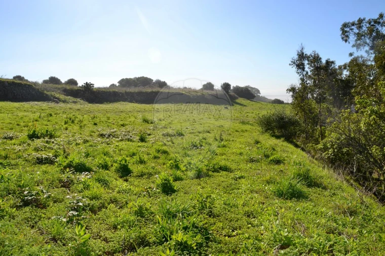 Terreno para Venda em Alcabideche Foto 13